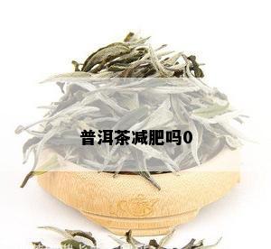 普洱茶减肥吗0