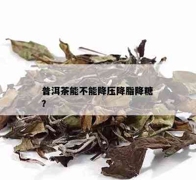 普洱茶能不能降压降脂降糖？