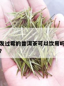 发过霉的普洱茶可以饮用吗？