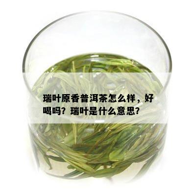 瑞叶原香普洱茶怎么样，好喝吗？瑞叶是什么意思？