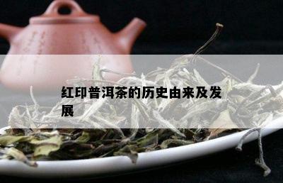 红印普洱茶的历史由来及发展