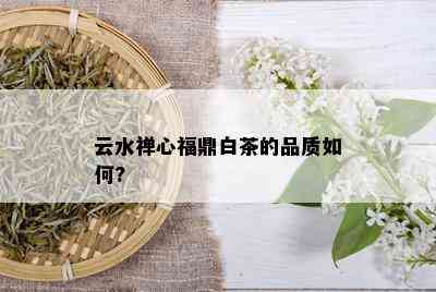 云水禅心福鼎白茶的品质如何?