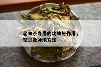 老白茶寿眉的功效与作用，禁忌及冲泡方法