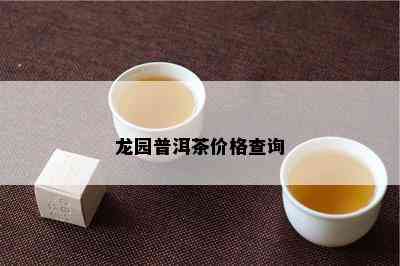 龙园普洱茶价格查询