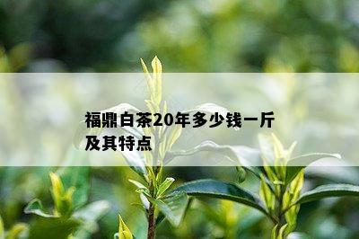 福鼎白茶20年多少钱一斤及其特点