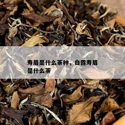 寿眉是什么茶种，白露寿眉是什么茶