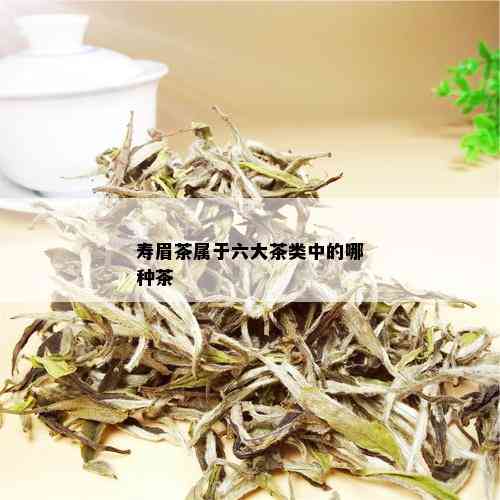 寿眉茶属于六大茶类中的哪种茶