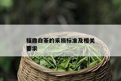 福鼎白茶的采摘标准及相关要求