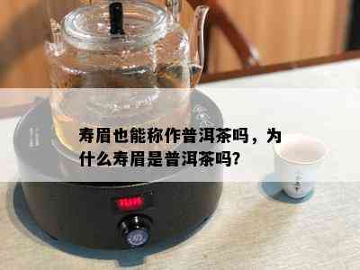 寿眉也能称作普洱茶吗，为什么寿眉是普洱茶吗？