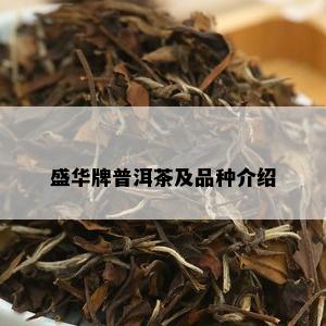 盛华牌普洱茶及品种介绍