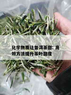 化学物质让普洱茶甜: 高效方法提升茶叶甜度