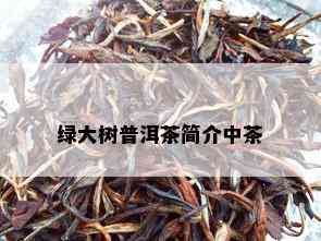 绿大树普洱茶简介中茶