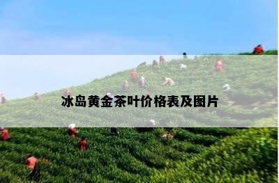 冰岛黄金茶叶价格表及图片