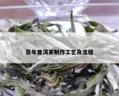 百年普洱茶制作工艺及流程