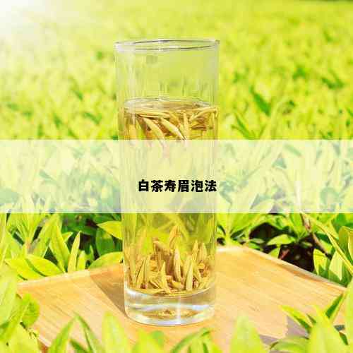 白茶寿眉泡法