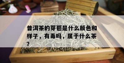 普洱茶的芽苞是什么颜色和样子，有吗，属于什么茶？