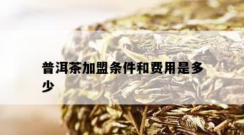 普洱茶加盟条件和费用是多少