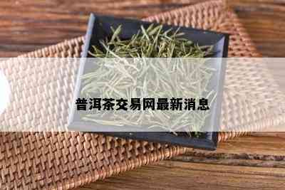 普洱茶交易网最新消息