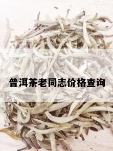 普洱茶老同志价格查询