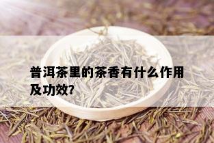 普洱茶里的茶香有什么作用及功效？