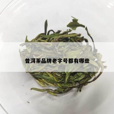 普洱茶品牌老字号都有哪些