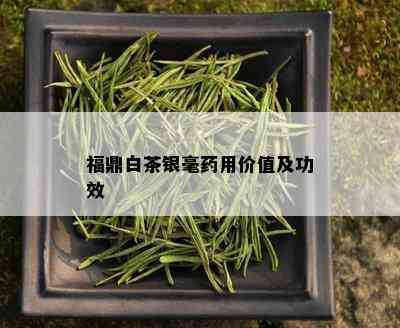 福鼎白茶银毫药用价值及功效