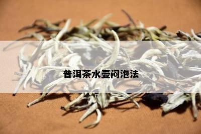 普洱茶水壶闷泡法