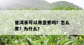 普洱茶可以用壶煮吗？怎么煮？为什么？