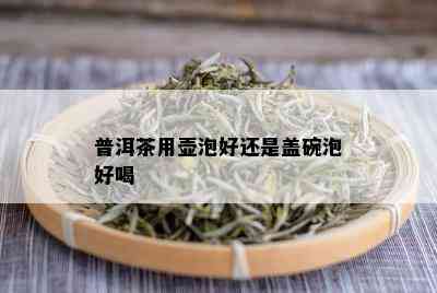 普洱茶用壶泡好还是盖碗泡好喝