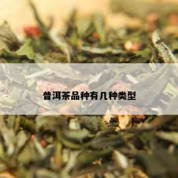 普洱茶品种有几种类型