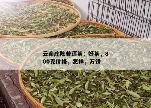 云南庄陈普洱茶：好茶，800克价格，怎样，万饼