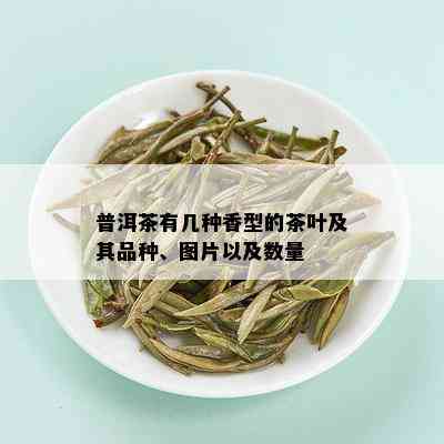 普洱茶有几种香型的茶叶及其品种、图片以及数量