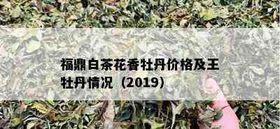 福鼎白茶花香牡丹价格及王牡丹情况（2019）