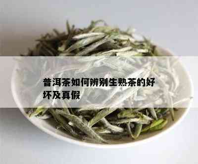 普洱茶如何辨别生熟茶的好坏及真假