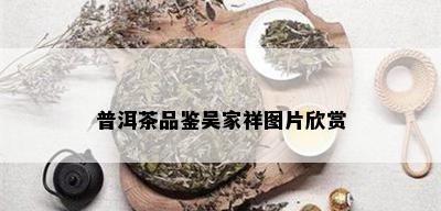 普洱茶品鉴吴家祥图片欣赏