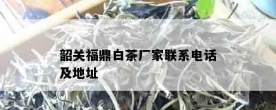 韶关福鼎白茶厂家联系电话及地址