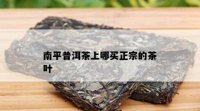 南平普洱茶上哪买正宗的茶叶