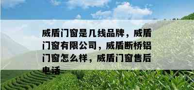 威盾门窗是几线品牌，威盾门窗有限公司，威盾断桥铝门窗怎么样，威盾门窗售后电话