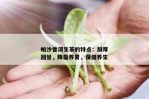 帕沙普洱生茶的特点：醇厚回甘，降脂养胃，保健养生