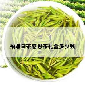 福鼎白茶感恩茶礼盒多少钱