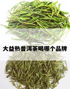 大益熟普洱茶喝哪个品牌