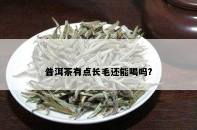 普洱茶有点长毛还能喝吗？