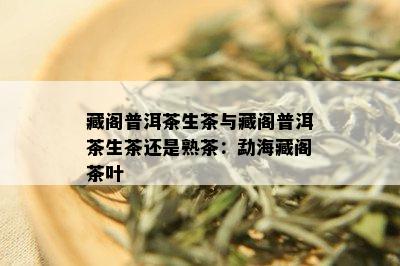 藏阁普洱茶生茶与藏阁普洱茶生茶还是熟茶：勐海藏阁茶叶