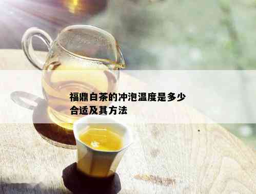 福鼎白茶的冲泡温度是多少合适及其方法