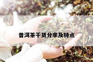 普洱茶干货分享及特点