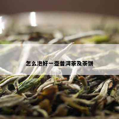 怎么泡好一壶普洱茶及茶饼