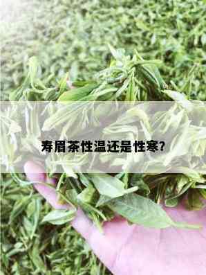 寿眉茶性温还是性寒？