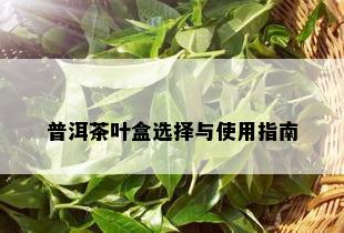 普洱茶叶盒选择与使用指南