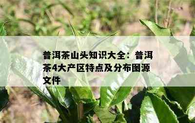 普洱茶山头知识大全：普洱茶4大产区特点及分布图源文件