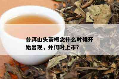 普洱山头茶概念什么时候开始出现，并何时上市？